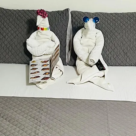 מלון Casa De Cultura House קונסטנצה